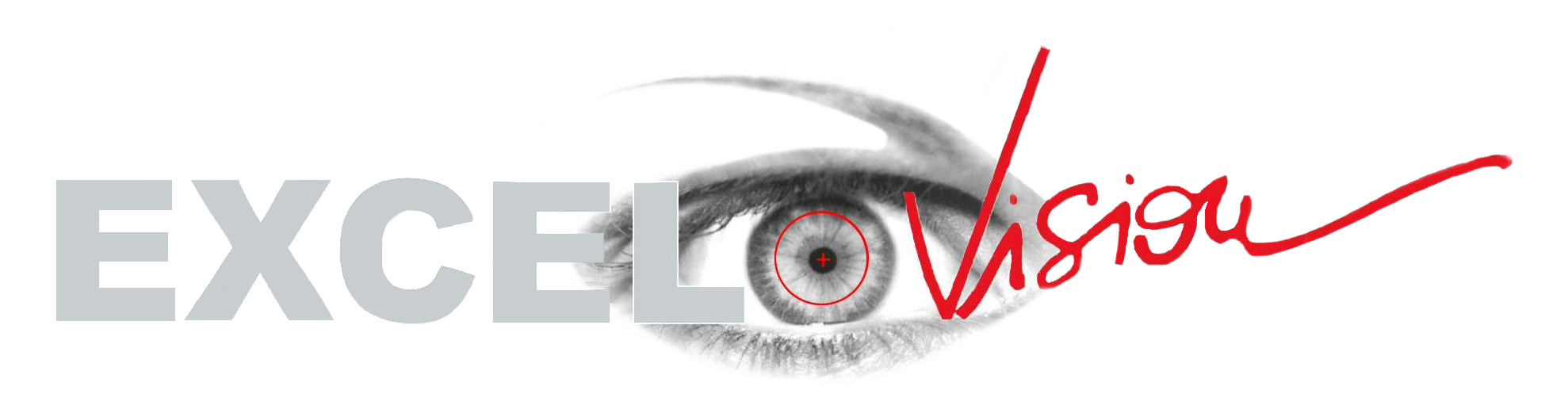 excel-vision logo