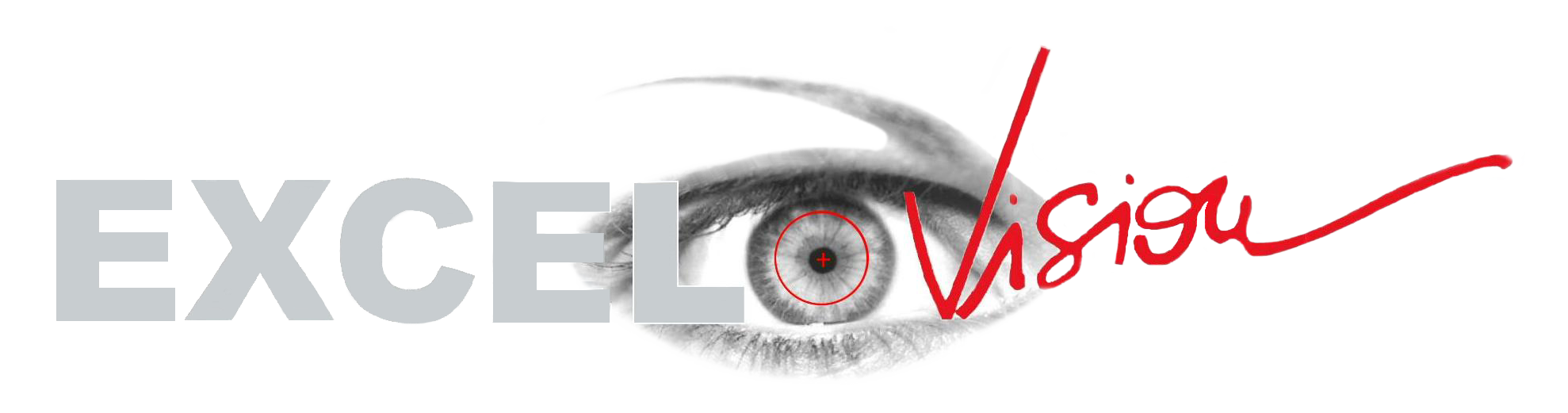 Excel Vision