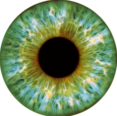 Iris 1