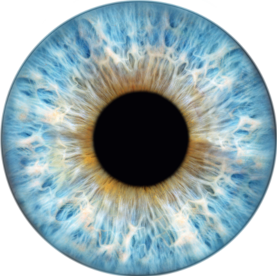 Iris 1