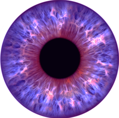 Iris 1