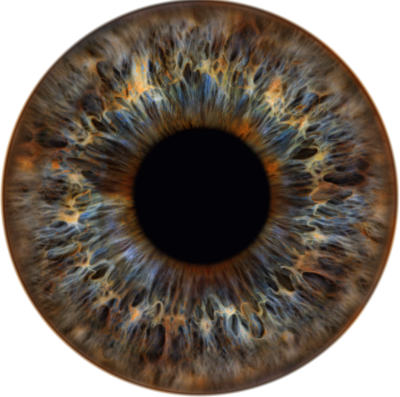 Iris 1